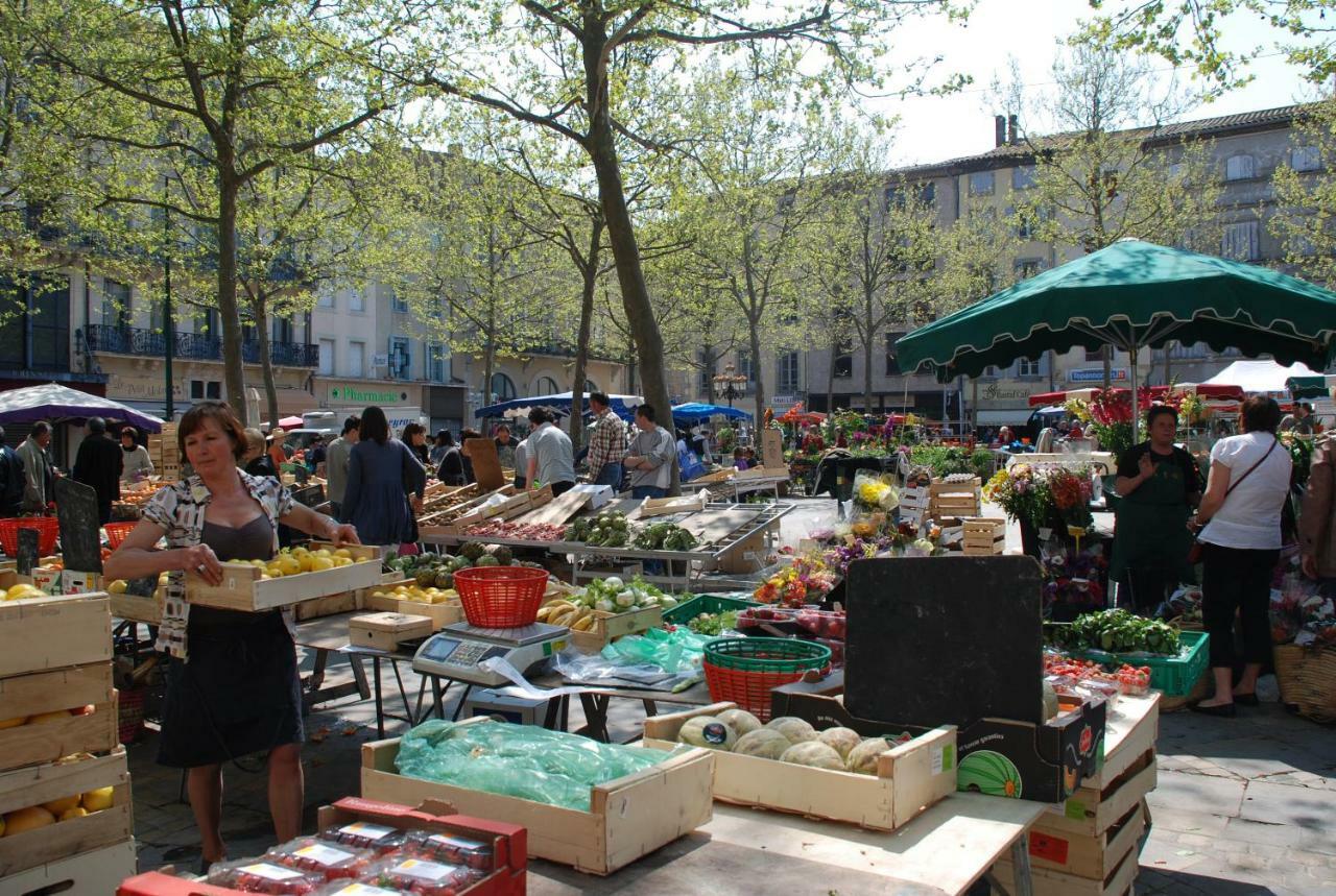Apartment Carnot Carcassonne Bagian luar foto